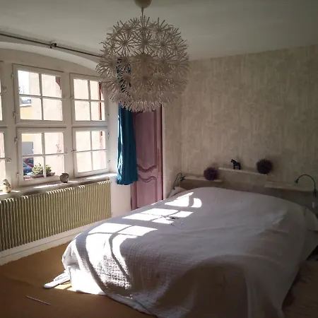 Le Baudinot Apartamento Sélestat Exterior foto